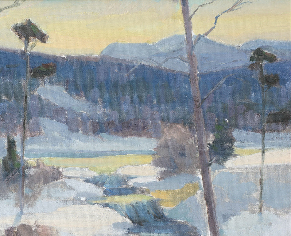 Spring mountains